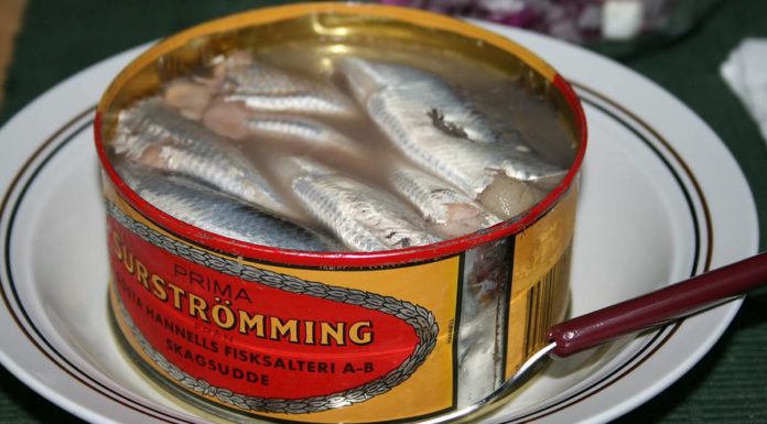 Mi az a surströmming, hol lehet venni Magyarországon? Surströmming hal konzerv