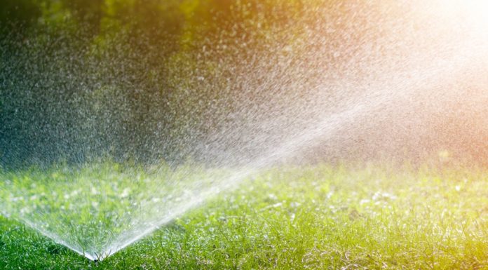 Kizárólag profikra bízhatjuk az öntözőrendszer karbantartását öntözőrendszer