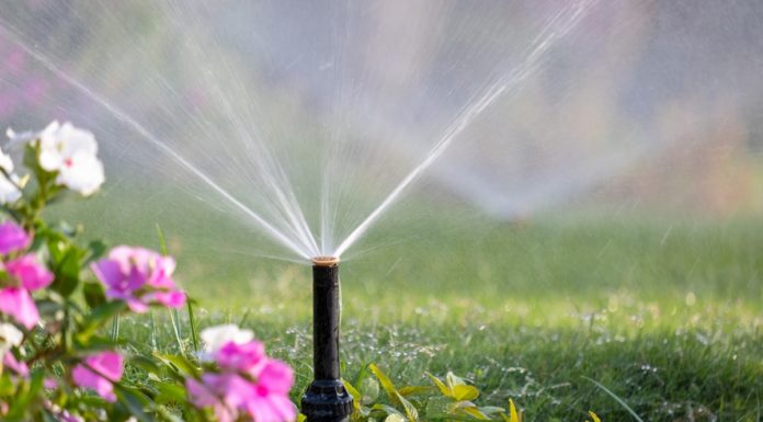 Kit bízzunk meg az öntözőrendszer javításával? öntözőrendszer javítás