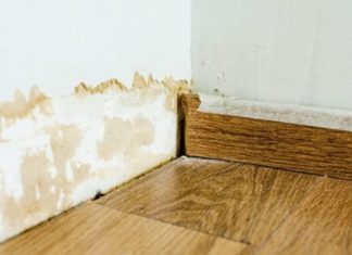 Penészesek a falak és a szekrények? Mutatjuk mi a megoldás! penészes fal