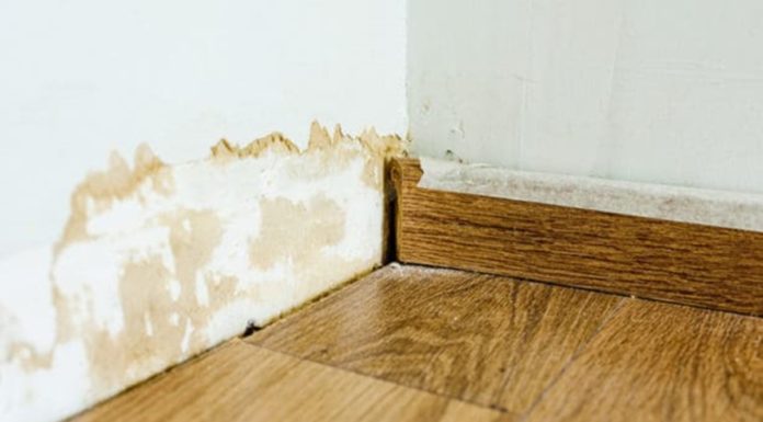 Penészesek a falak és a szekrények? Mutatjuk mi a megoldás! penészes fal