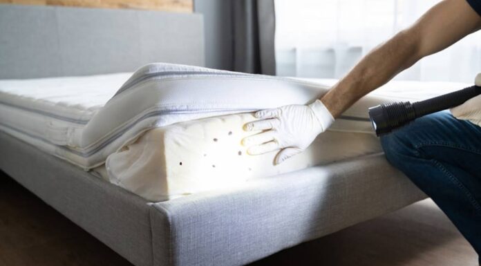 A kártevőmentes otthonért – Ágyi poloska irtás Budapest Ágyi poloska jelek