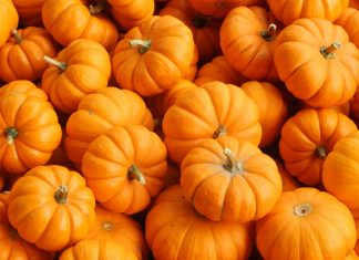 Őszi sütőtök inspiráció a konyhában: tárolás, feldolgozás és ünnepi tálalási ötletek sütőtök