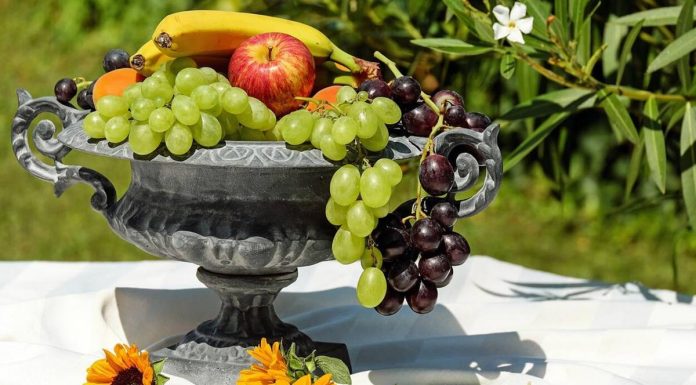 Mit adhatunk kedvencünknek? Biztonságos ételek kutyáknak gyümölcs