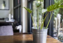 Lakóparki otthonok természetközelben lakópark lakása