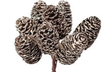 Ünnepi hangulat az otthonodban: ötletek és inspirációk karácsonyi dekoráció