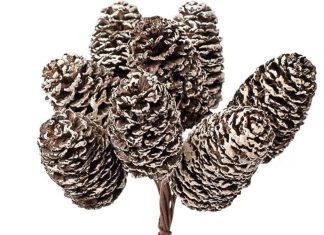 Ünnepi hangulat az otthonodban: ötletek és inspirációk karácsonyi dekoráció