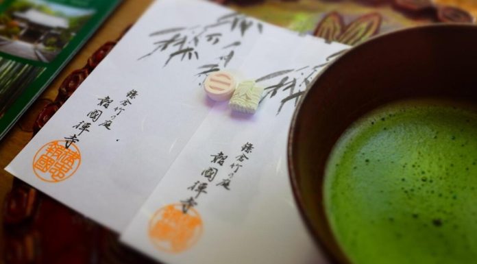 Érdekes tények a matcha teáról: egészség és hagyomány találkozása M Macha tea